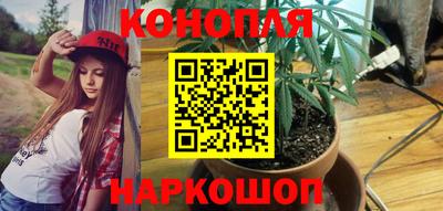 сатива Кулебаки