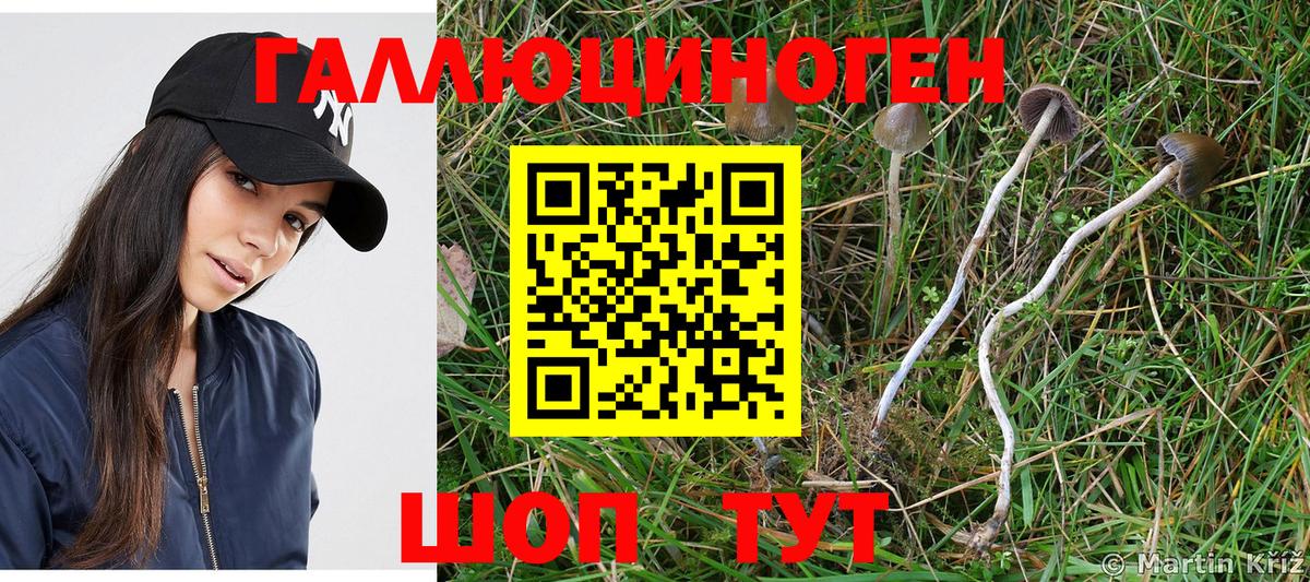 Качканар  Галлюциногенные грибы мухоморы  как найти наркотики  Вход с VPN 
